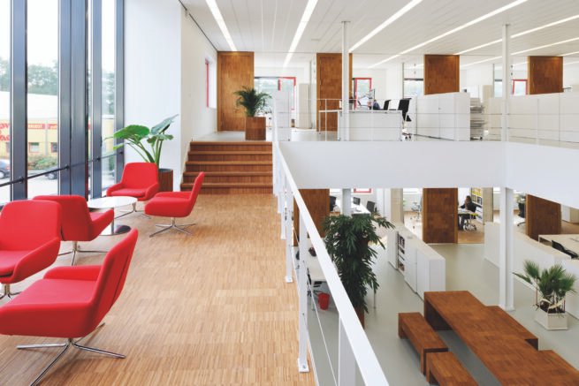 Rich results on Google's SERP when searching for 'bambuko grindys'