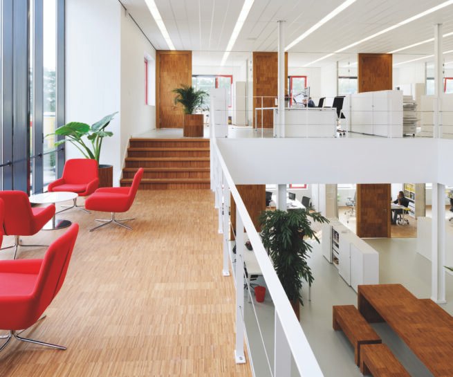 Rich results on Google's SERP when searching for 'bambuko grindys'