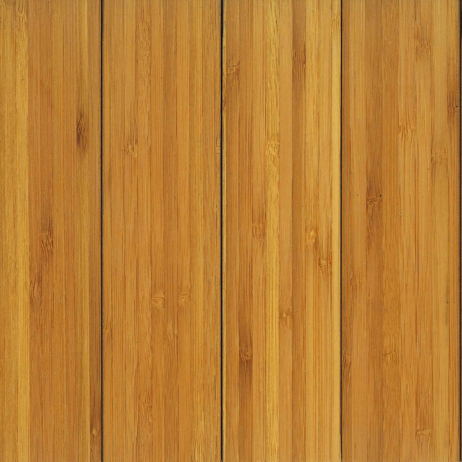 Rich results on Google's SERP when searching for 'sienų danga'