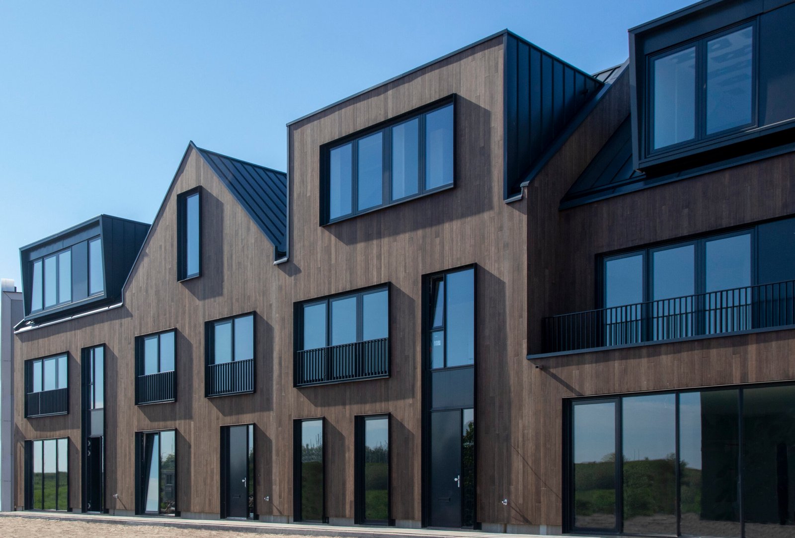 bambuko fasado dailylentes