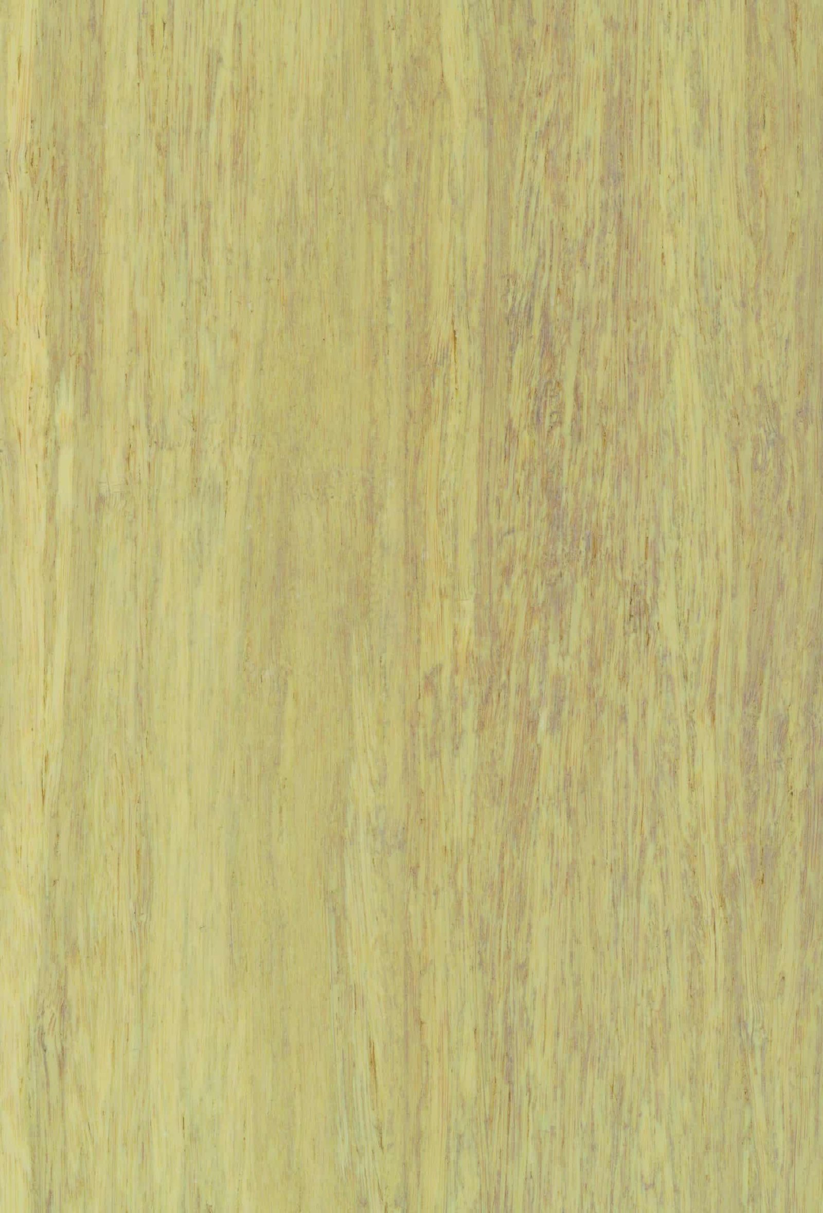 Rich results on Google's SERP when searching for 'bambuko grindys'