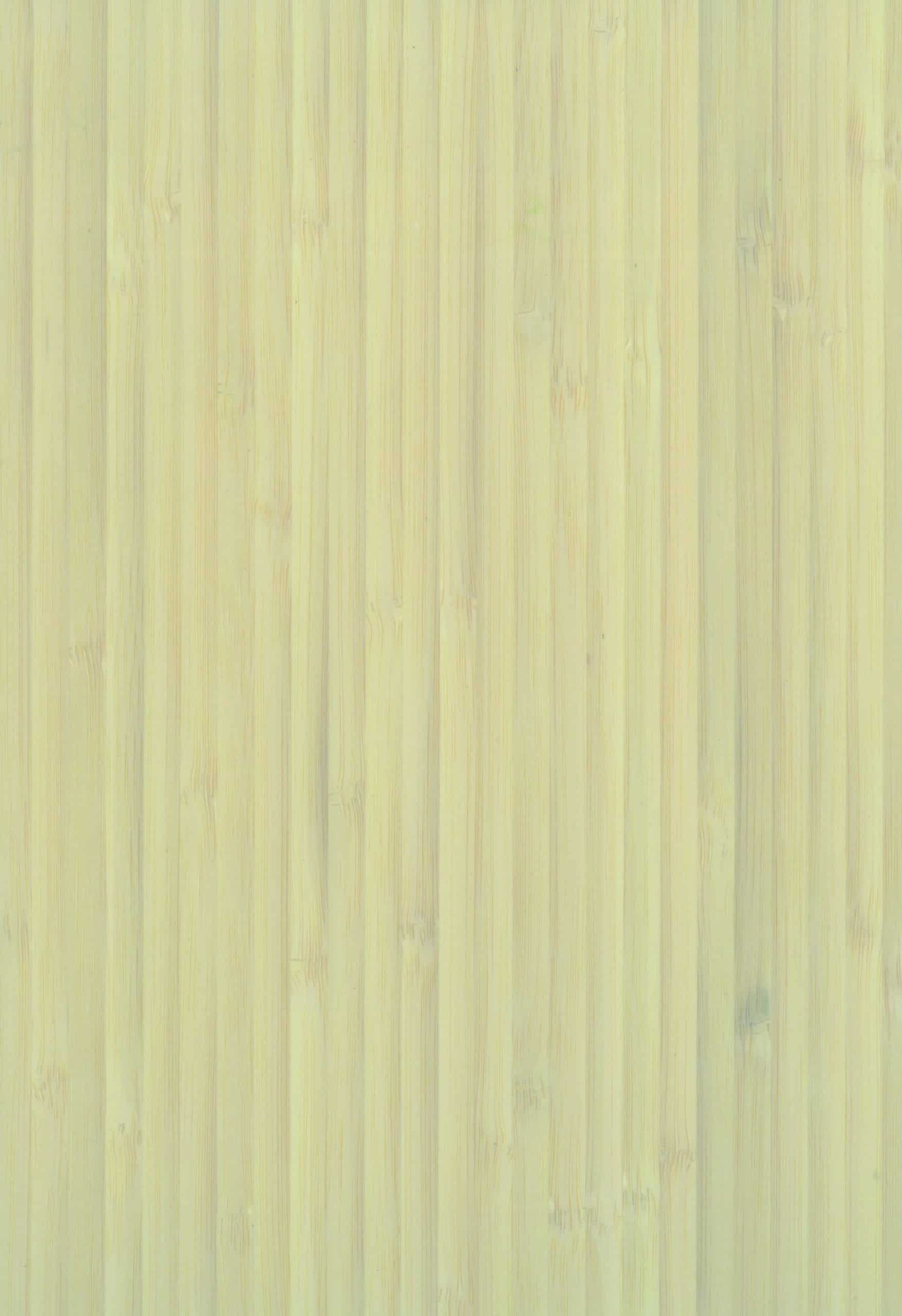 Rich results on Google's SERP when searching for 'bambuko grindys'