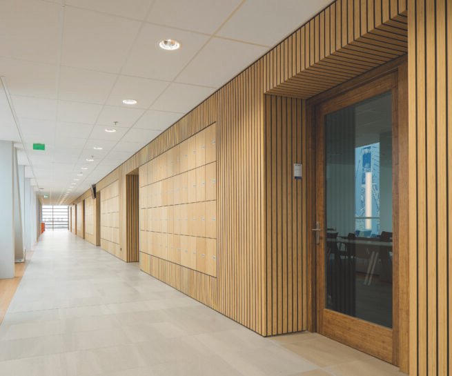 'bambuko faneruotė'