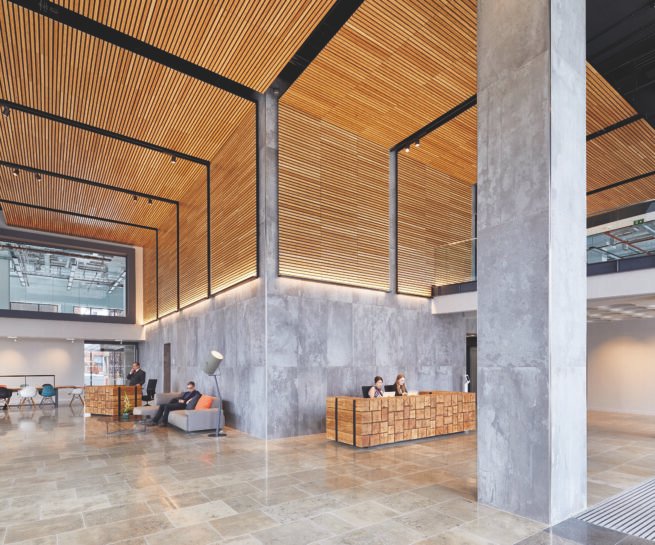 tašelių apdaila sienoms, tašelių apdaila lubums, klijuoti tašeliai, bruseliai sienai